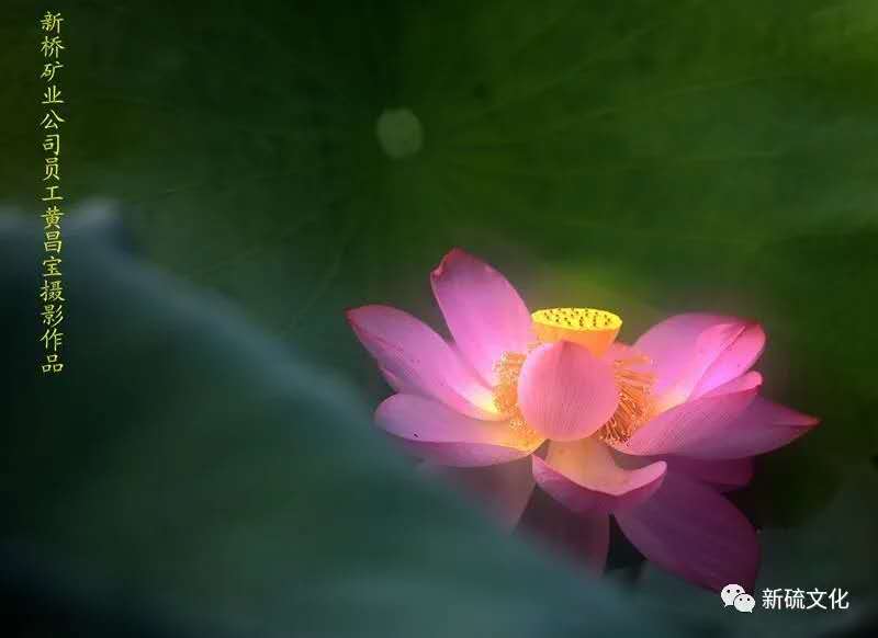 首页- 南宫NG28集团娱乐官方网站